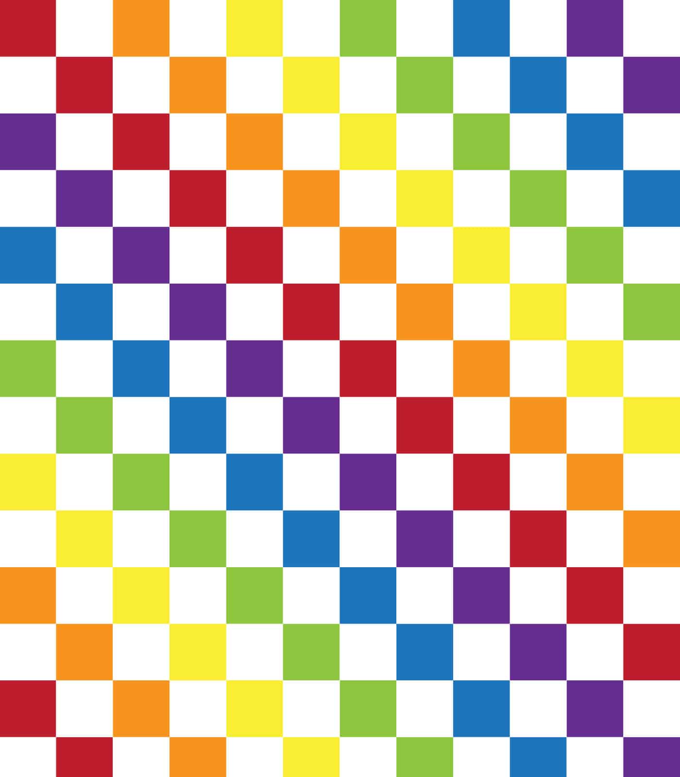 Rainbow/Black Checkered Exclusive Print Olga's Closet