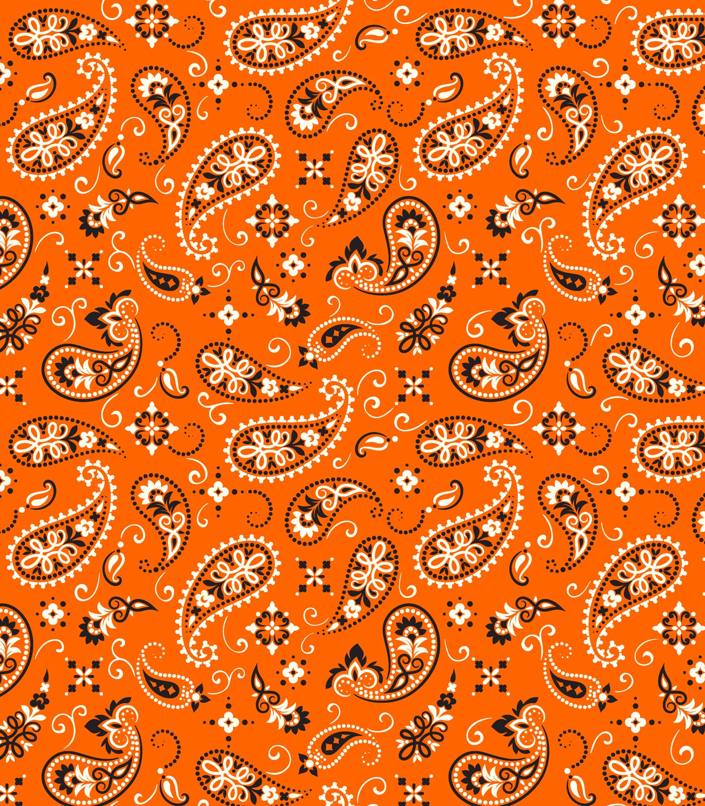 Orange/Black/White Paisley/Flowers Exclusive Print Olga's Closet
